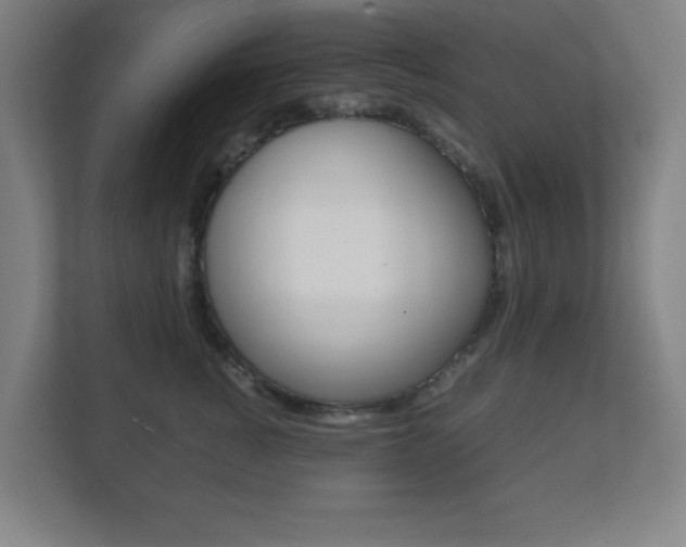 X0000111850760200907231059