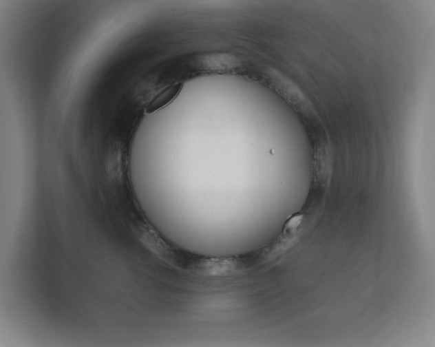 X0000111850762200907231059