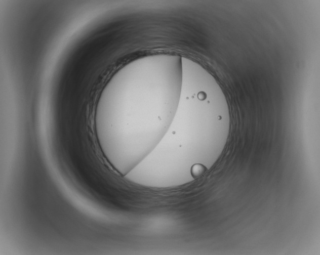 X0000111850764200907231059
