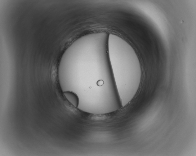 X0000111850767200907231059