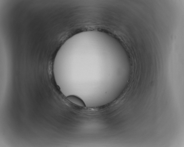X0000111850768200907231059