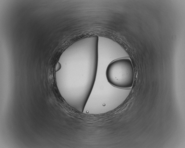 X0000111850771200907231059