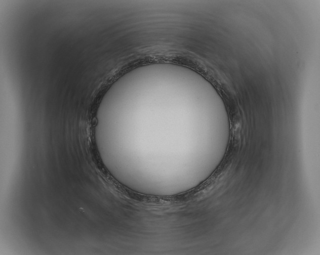 X0000111850772200907231059