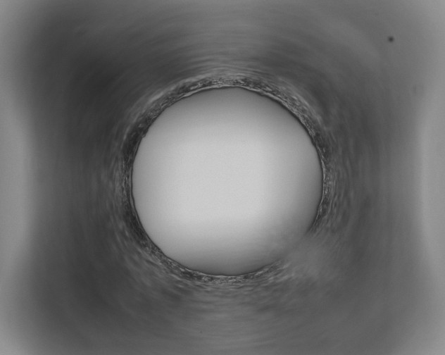 X0000111850773200907231058