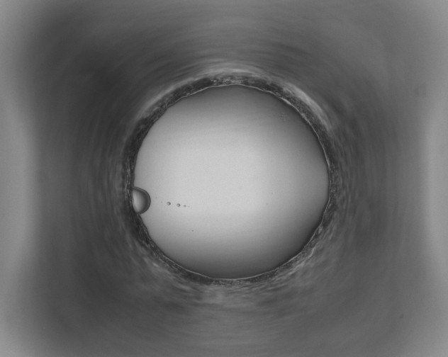 X0000111850775200907231058
