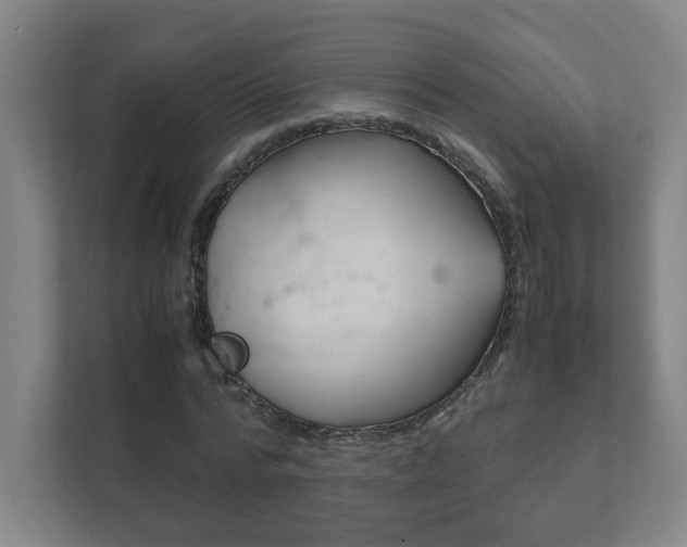 X0000111850776200907231058