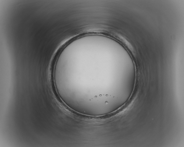 X0000111850779200907231058