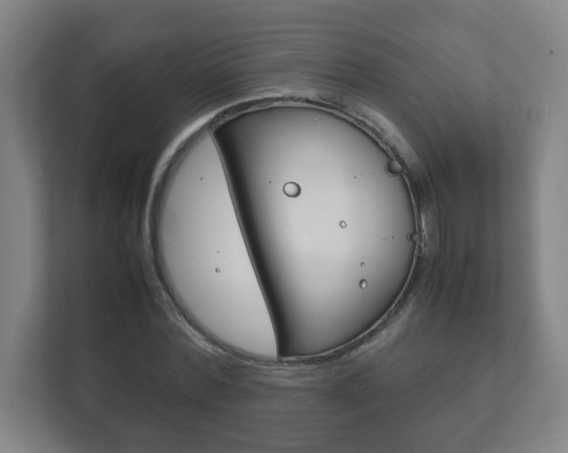 X0000111850780200907231058