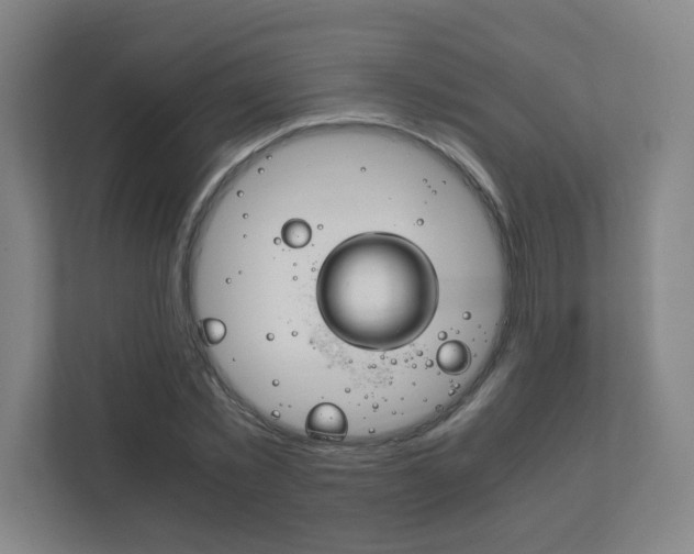 X0000111850781200907231058