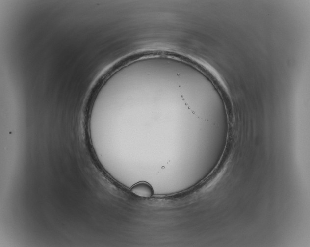 X0000111850783200907231058