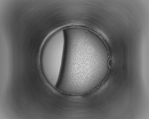 X0000111850784200907231058