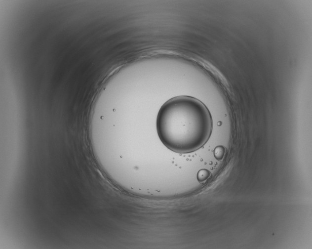 X0000111850785200907231058