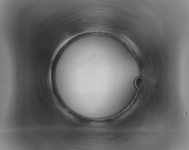X0000111850788200907231058