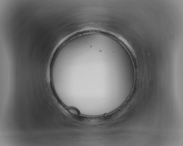 X0000111850791200907231058