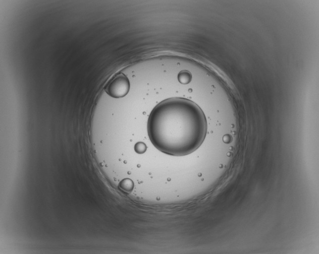 X0000111850793200907231058