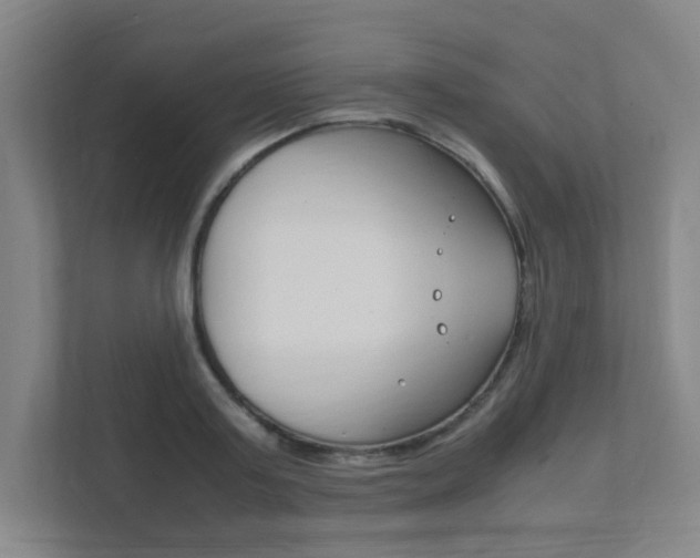 X0000111850795200907231058