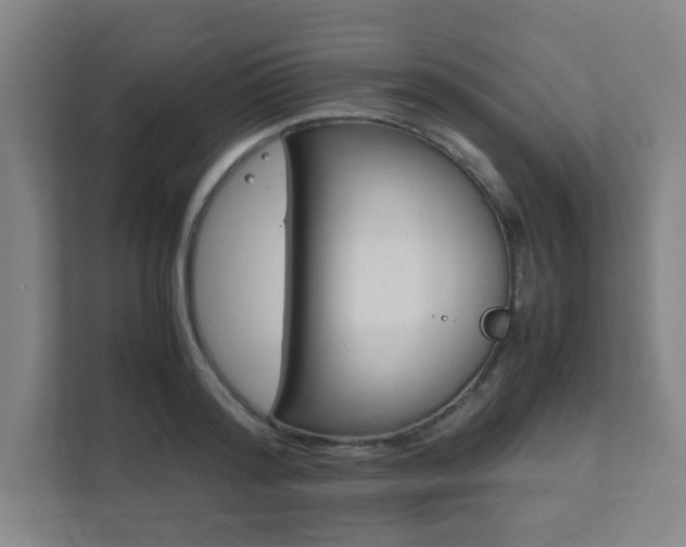 X0000111850796200907231058
