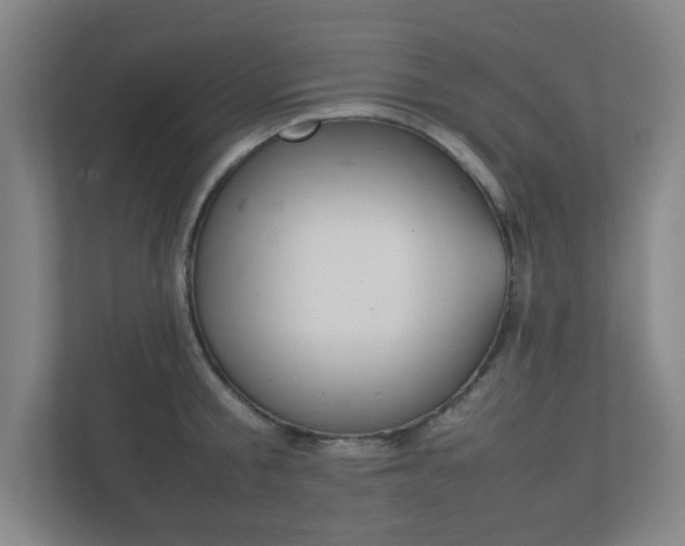 X0000111850805200907231058