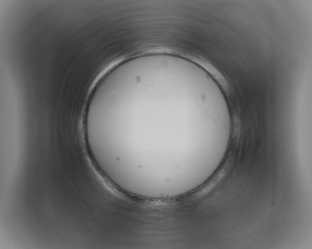 X0000111850806200907231058