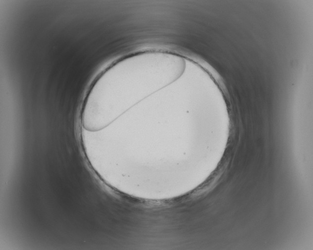 X0000111850807200907231058