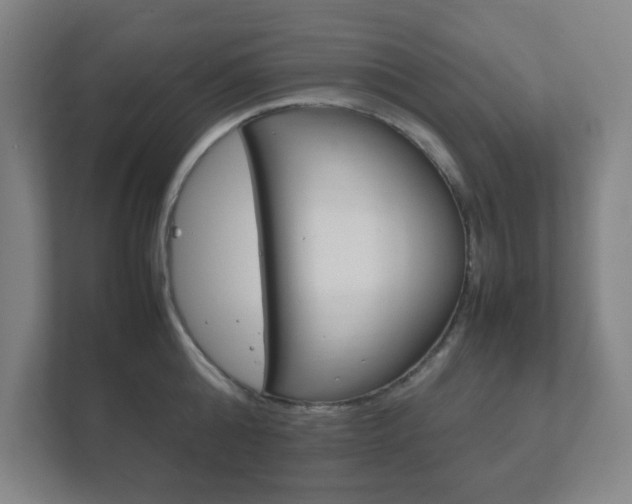 X0000111850808200907231058