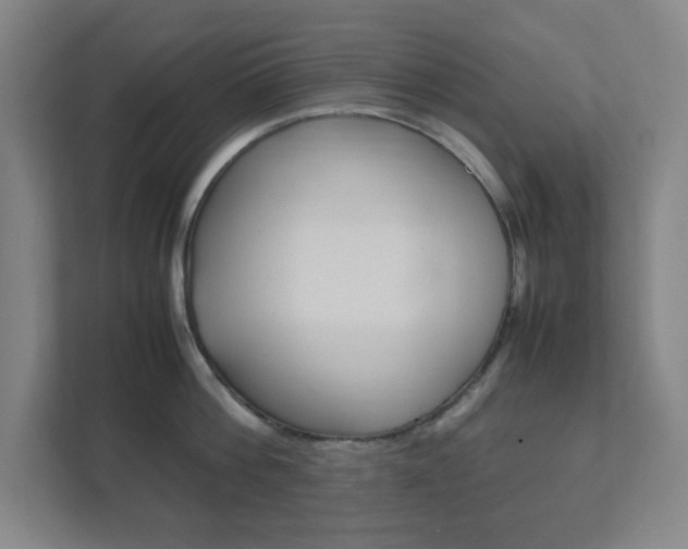 X0000111850812200907231058