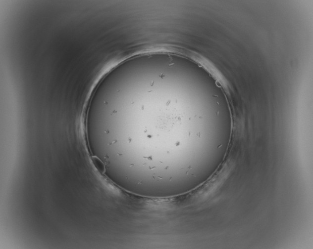 X0000111850813200907231058