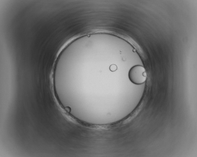 X0000111850814200907231058