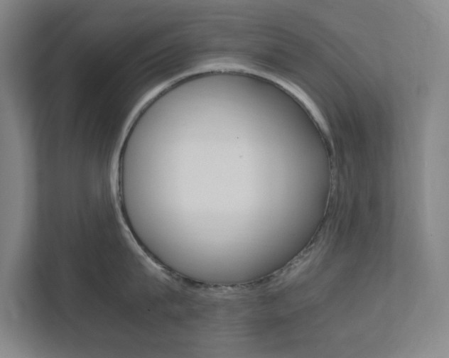 X0000111850815200907231058