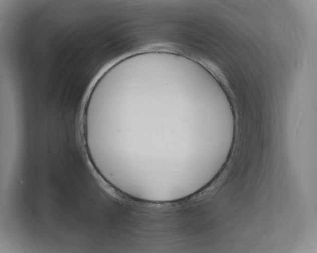 X0000111850816200907231058