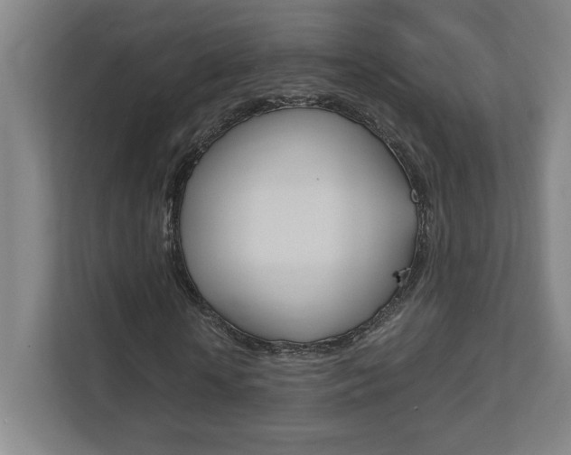 X0000111850818200907231057