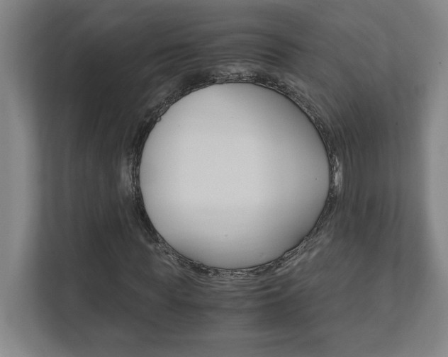 X0000111850819200907231057