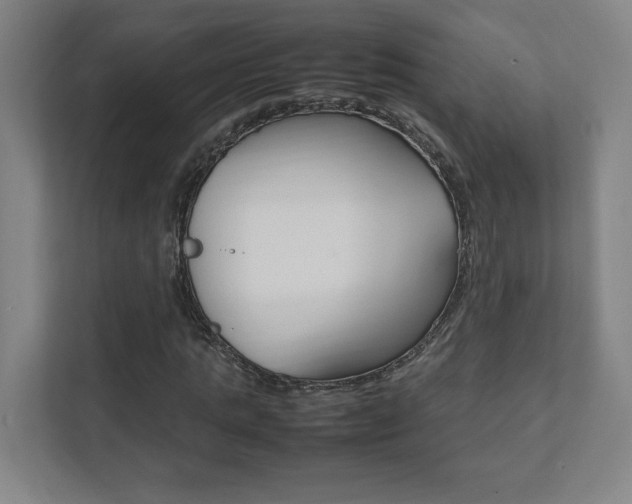 X0000111850821200907231057