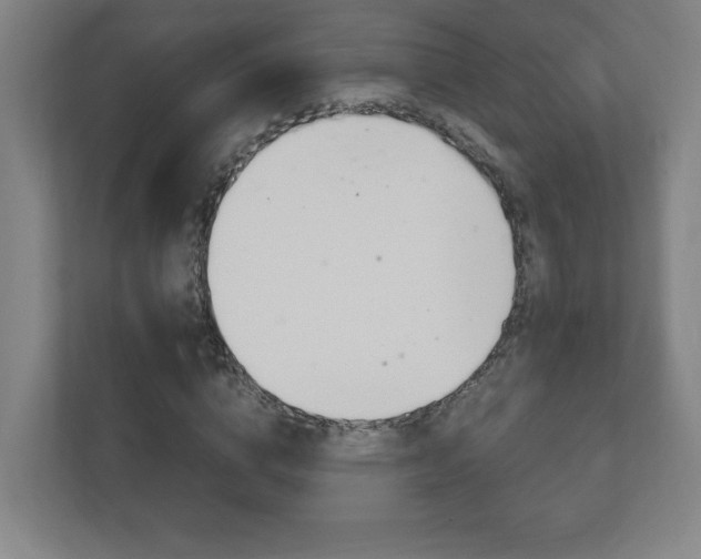 X0000111850824200907231057
