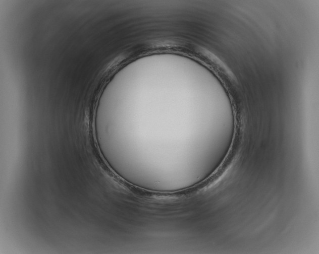 X0000111850825200907231057
