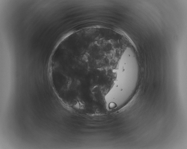 X0000111850827200907231057