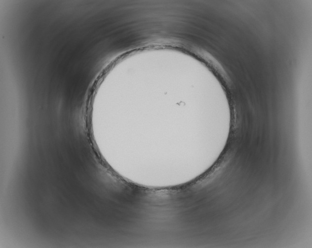 X0000111850828200907231057