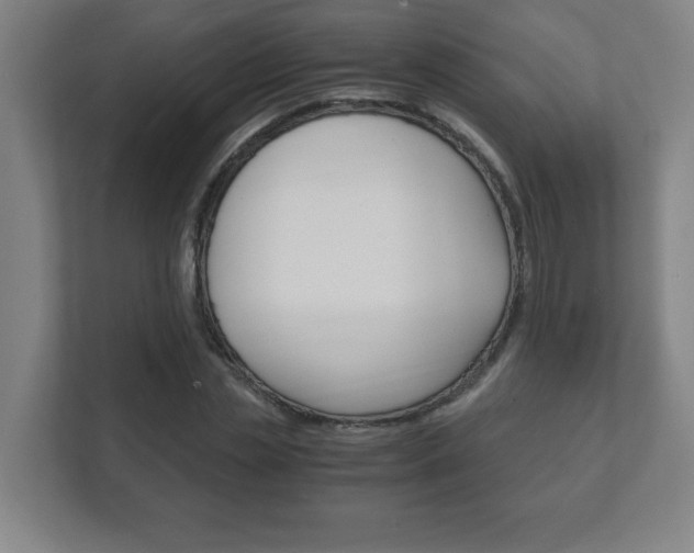 X0000111850829200907231057