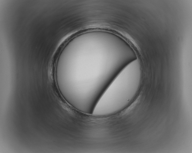 X0000111850830200907231057