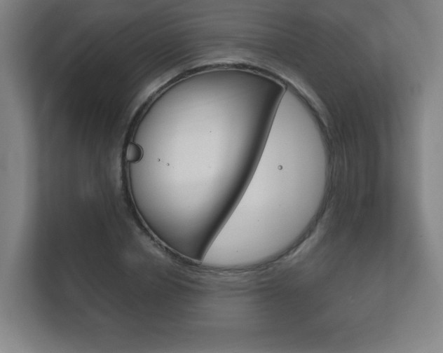 X0000111850834200907231058