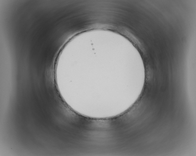 X0000111850836200907231058