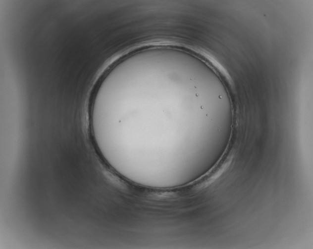 X0000111850837200907231058