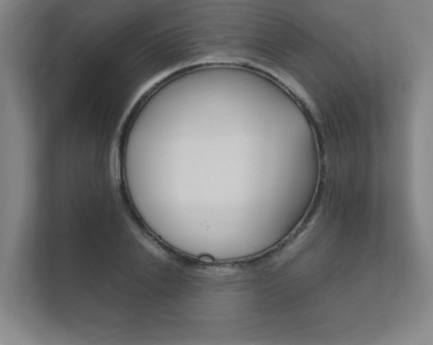 X0000111850838200907231058