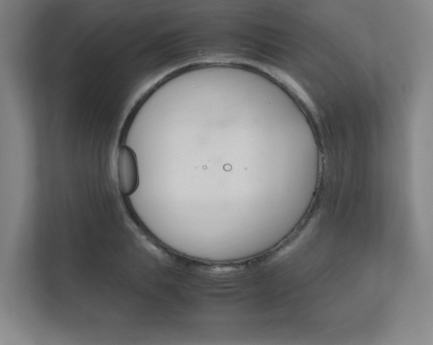 X0000111850839200907231058