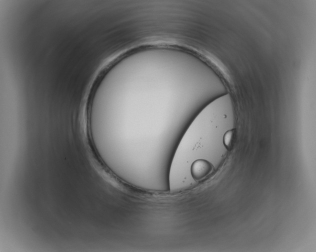 X0000111850840200907231058