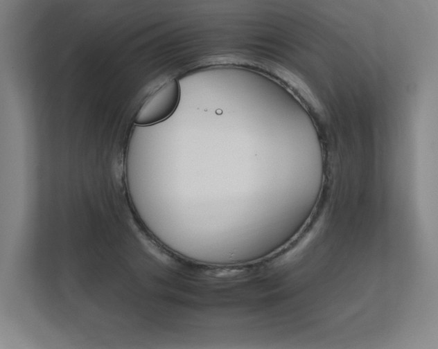 X0000111850841200907231058