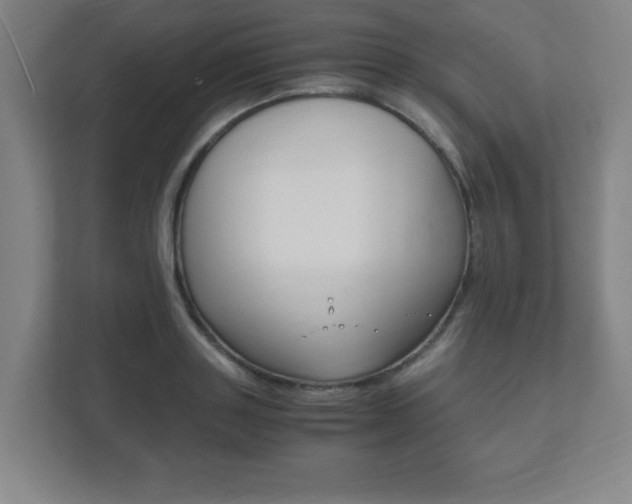 X0000111850843200907231058
