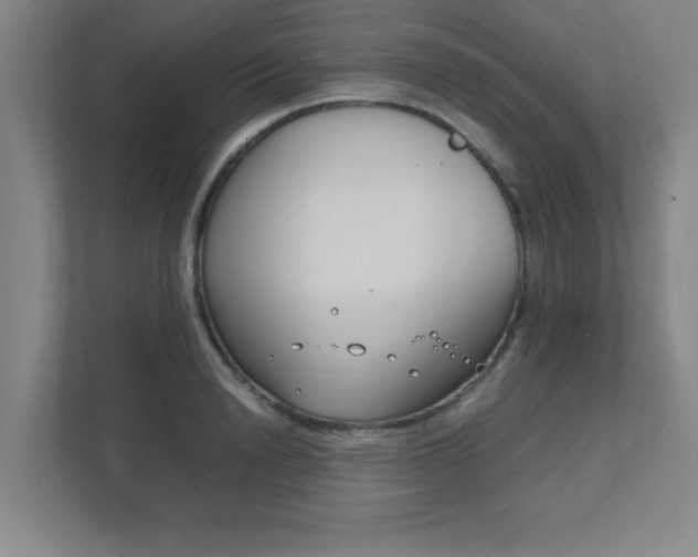 X0000111850846200907231058