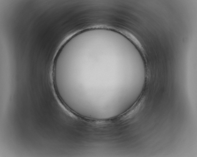 X0000111850847200907231058