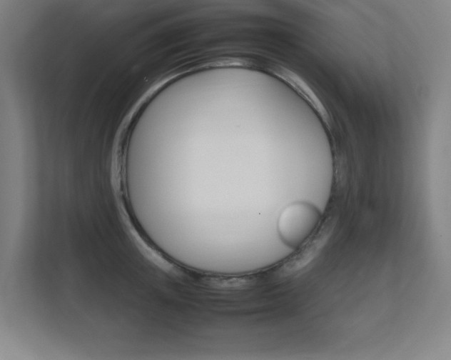 X0000111850851200907231058